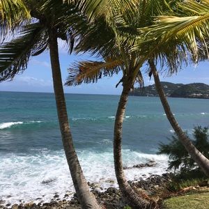 Meet your Posher, Nell